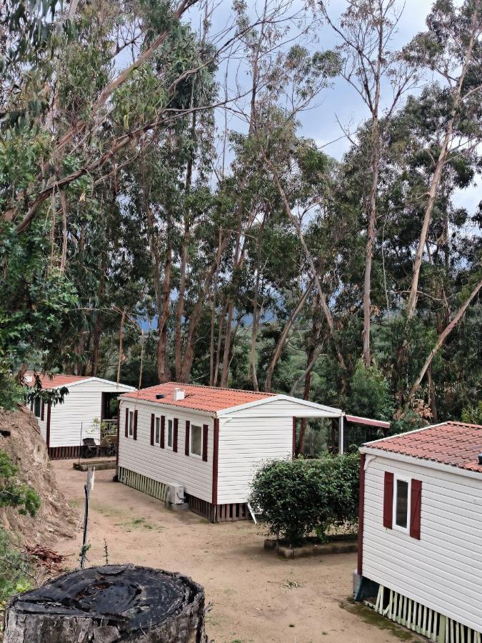 Mira Monti Location Belvedere-Campomoro Exterior foto