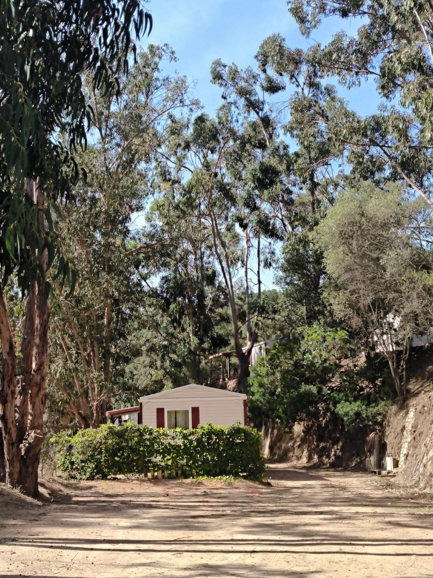 Mira Monti Location Belvedere-Campomoro Exterior foto